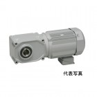 【生産終了】FS55N100-MP22TWNTJ2 ニッセイ ギアモータ 中型 中空軸 三相 手動解放装置付 200Vブレーキ付 2.2kW|Fシリーズ中空軸|ニッセイ