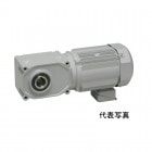 【生産終了】FS55N100-MP22TWNTJ4 ニッセイ ギアモータ 中型 中空軸 三相 手動解放装置付 400Vブレーキ付 2.2kW|Fシリーズ中空軸|ニッセイ