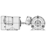 ��Ω ����⡼�� TFOA-LK-0.75kW-2P-AC200V ���ĳ��� �������� �Ӽ��� �֥졼��̵�� �����⡼�ȥ�Neo100 Premium
