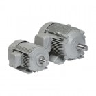 ��Ω ����⡼�� TFOA-LKK-11kW-2P-AC200V ���ĳ��� �������� �Ӽ��� �֥졼��̵�� �����⡼�ȥ�Neo100 Premium