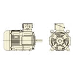 ��Ω ����⡼�� TFOA-LKK-55kW-4P AC200/400V���� ���ĳ��� �������� �Ӽ��� �֥졼��̵�� �����⡼�ȥ�Neo100 Premium