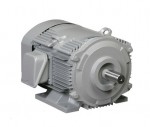 日立 三相モータ TFO-LKK-15kW-2P-AC400V 全閉外扇 屋内仕様 脚取付 ブレーキ無し ザ・モートルNeo100 Premium通販