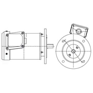 ��������λ�ʡ� ��� ����⡼�� IKH3-FCKLKW21E-0.75KW-4P-AC200V ���ĳ��� �������� �ե�󥸼��� �֥졼��̵�� �ץ�ߥ��ॴ����ɥ⡼�ȥ�