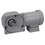 �˥å��� �����⡼�� FF40L160-MR08TWNTN ��¼� 0.75kW ����400V ɸ��֥졼��̵����