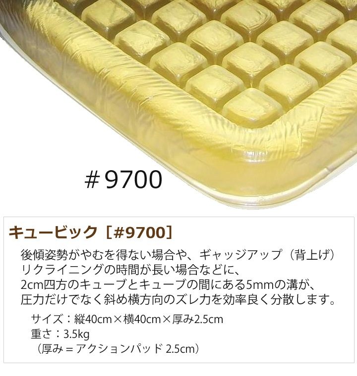 �֤����ѥ��������ѥåɡ����塼�ӥå�������#9700�ξ������ɻ��Ѷ��