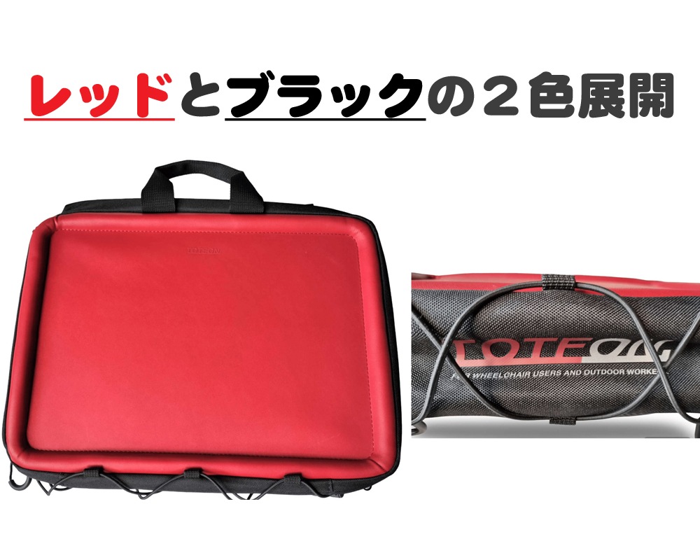 ��TOTEON��ŷ���դ��Хå�