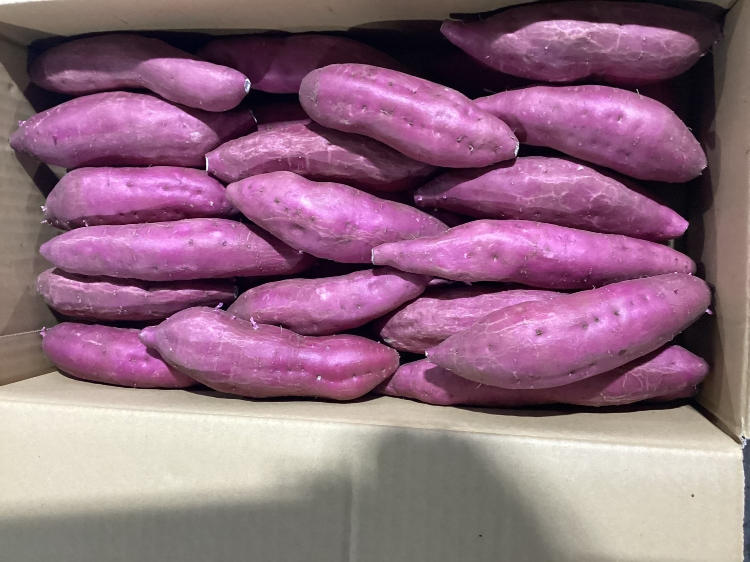 さつまいも(紅はるか)約500g袋入り / M・Sサイズ