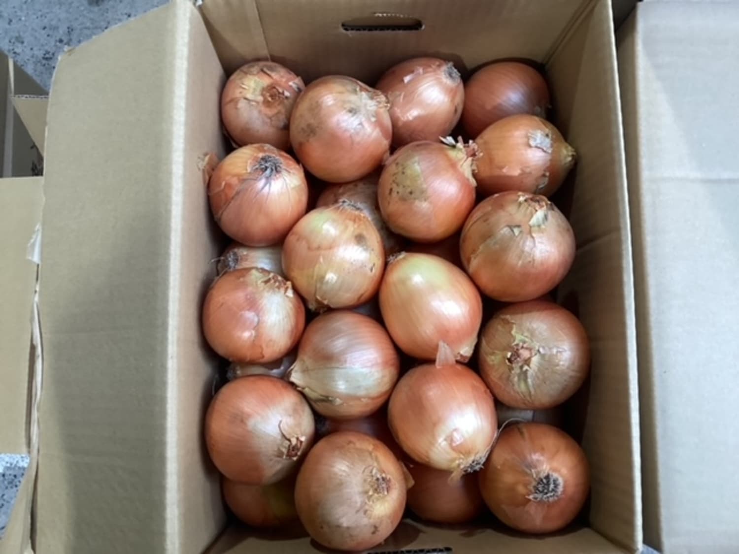 玉ねぎ　約１kg袋 / L、Mサイズ