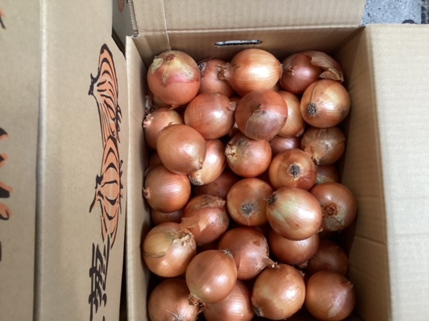 玉ねぎ　約１kg袋 / L、Mサイズ