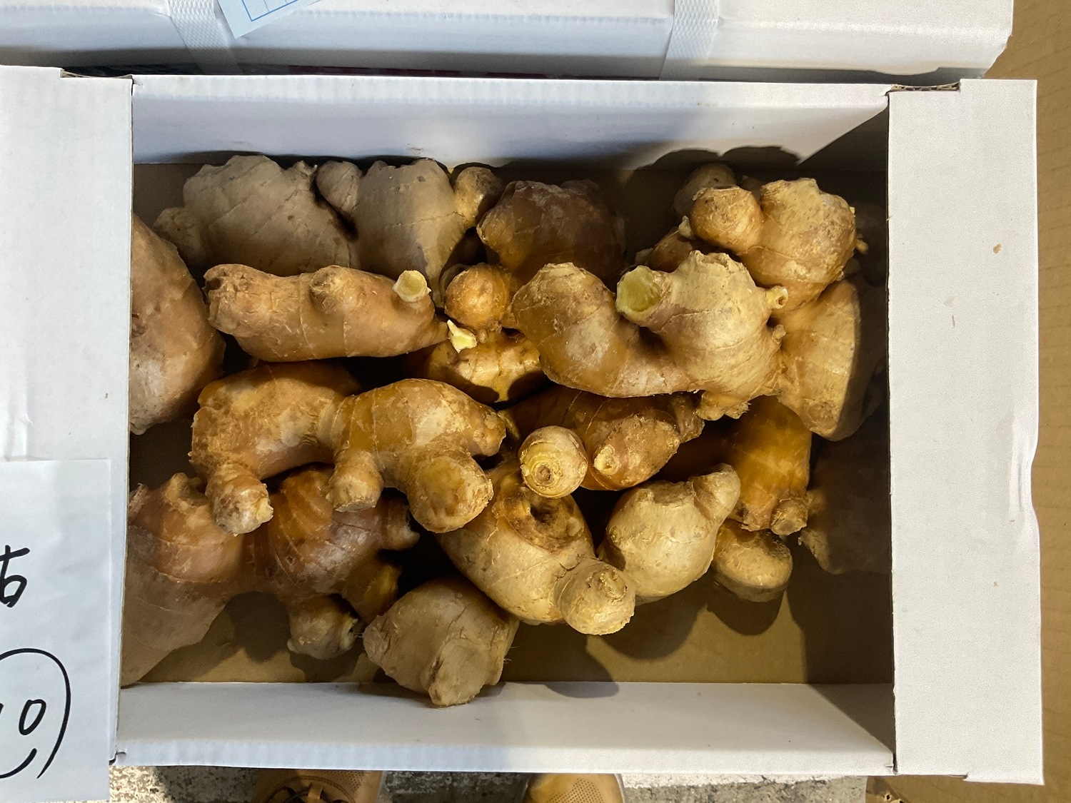 囲い生姜（外皮色が茶色）１００ｇカット / 袋入り