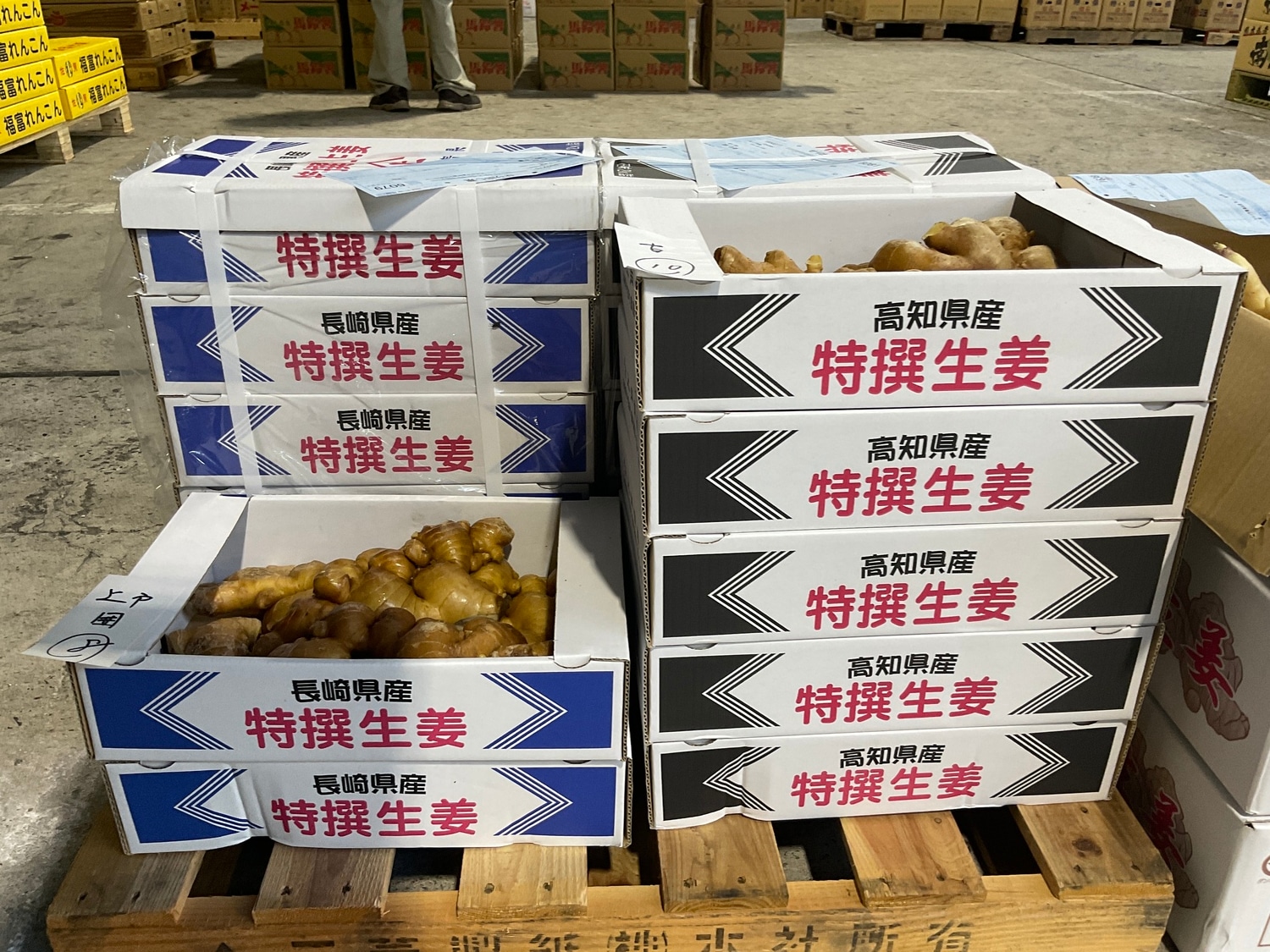 囲い生姜（外皮色が茶色）１００ｇカット / 袋入り