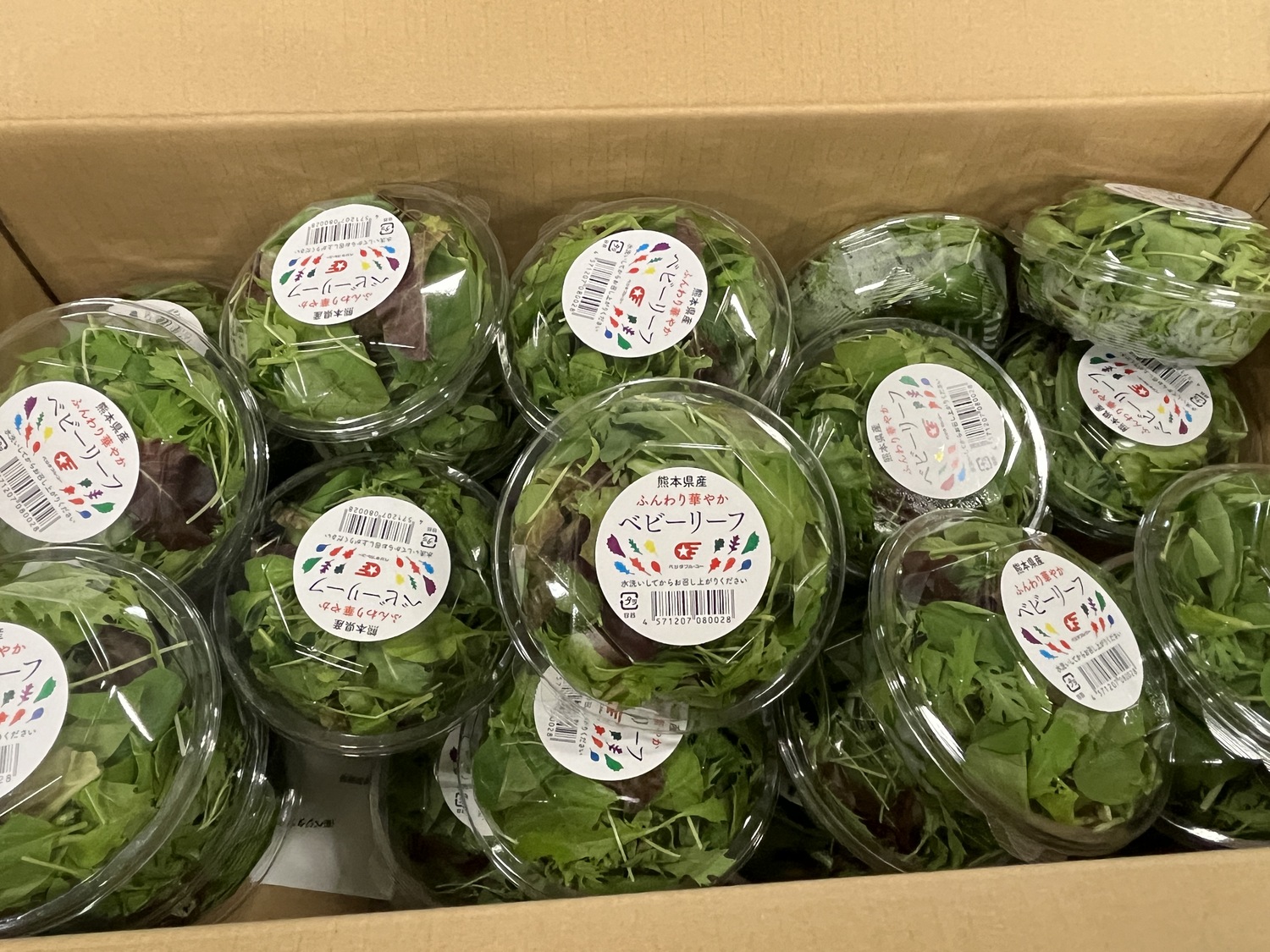 ベビーリーフ / 30gパック