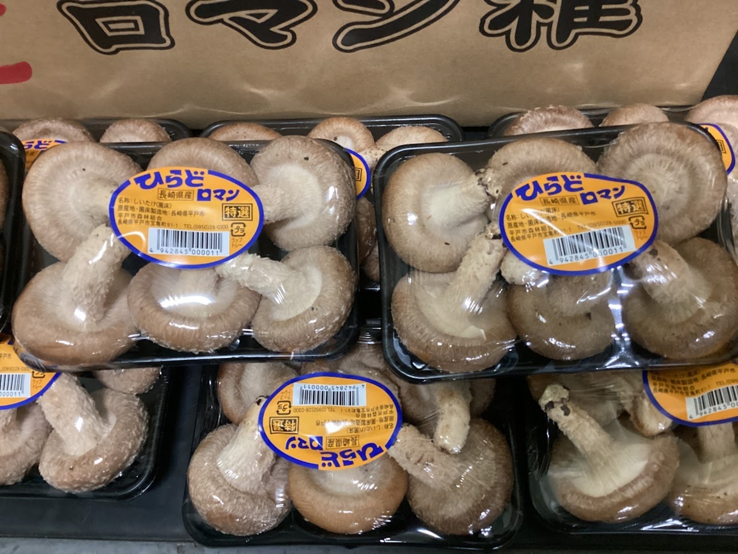 菌床椎茸 約100g / パック