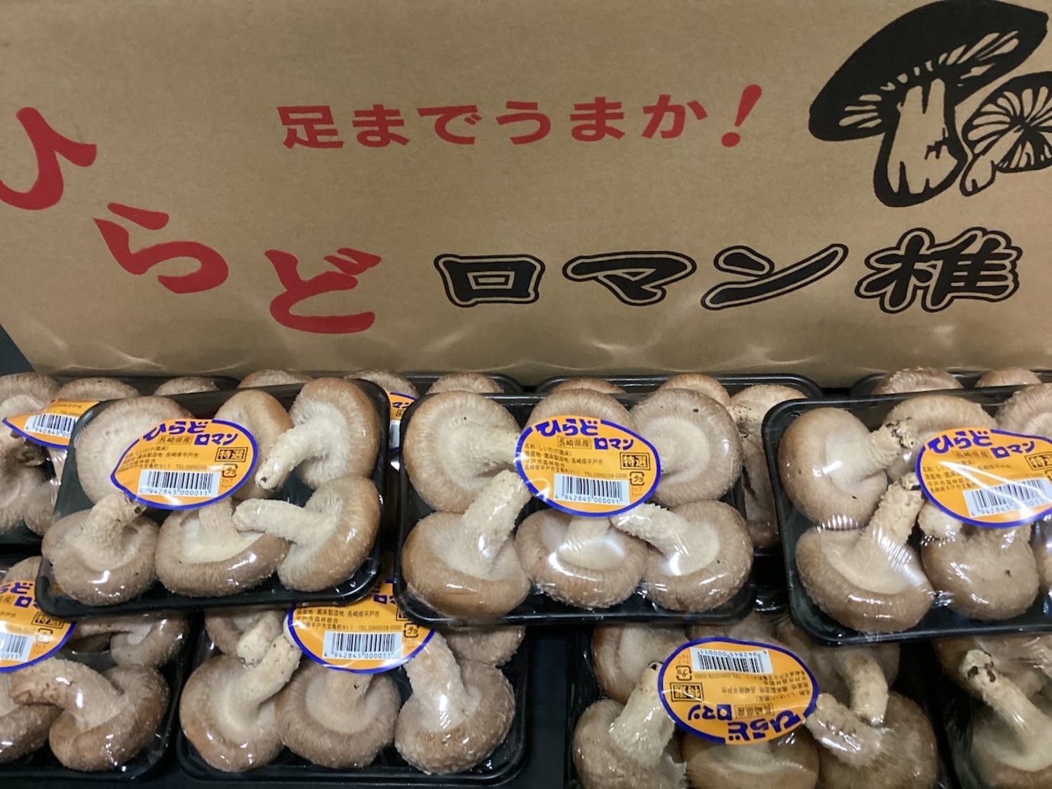 菌床椎茸 約100g / パック