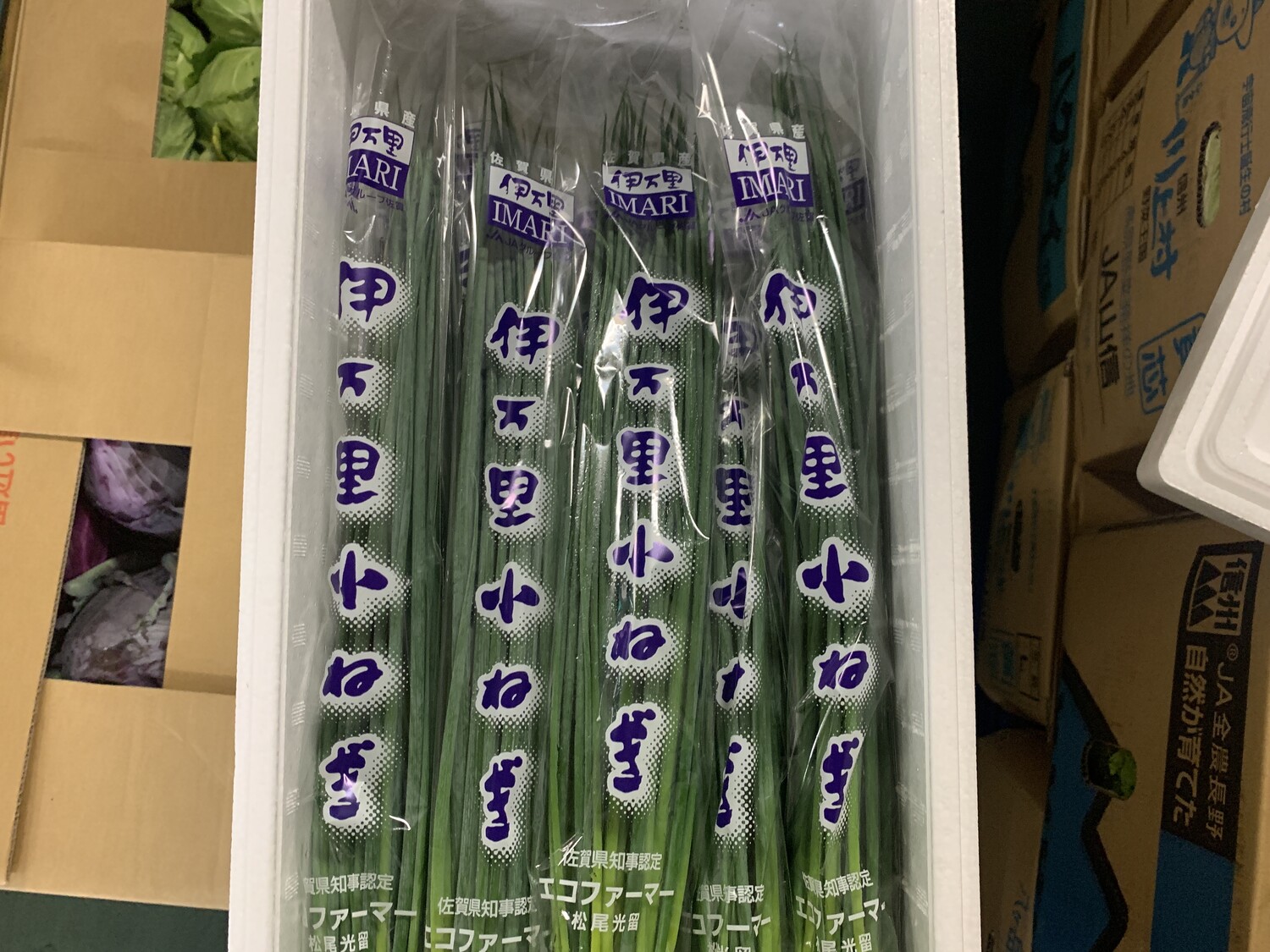 小葱 / Mサイズ、１束（袋）