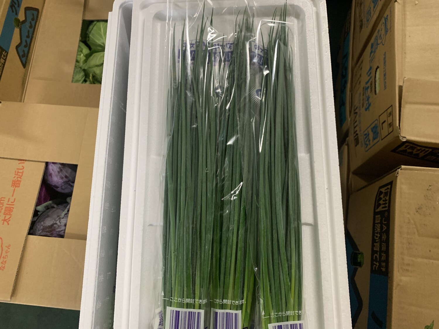 小葱 / Mサイズ、１束（袋）