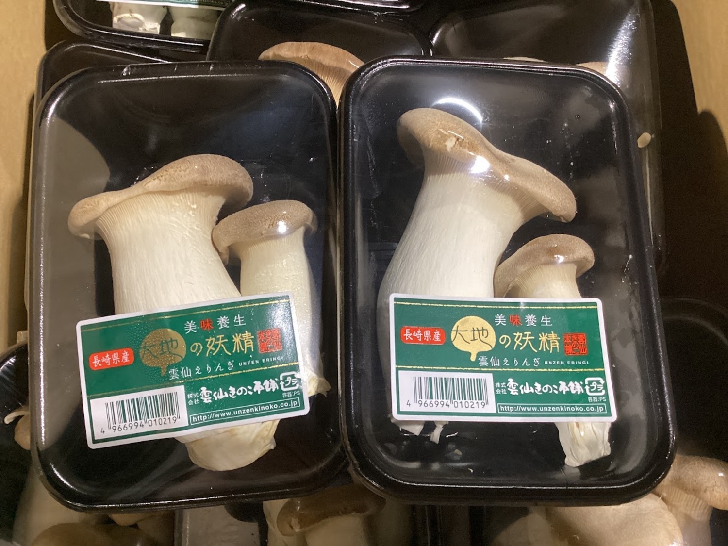 エリンギ １００ｇ / パック