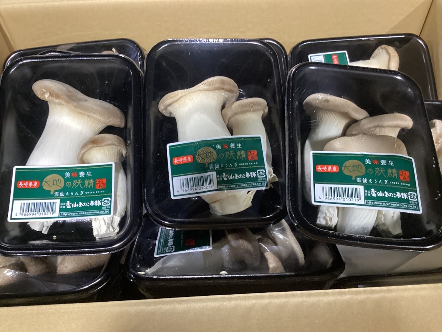 エリンギ １００ｇ / パック