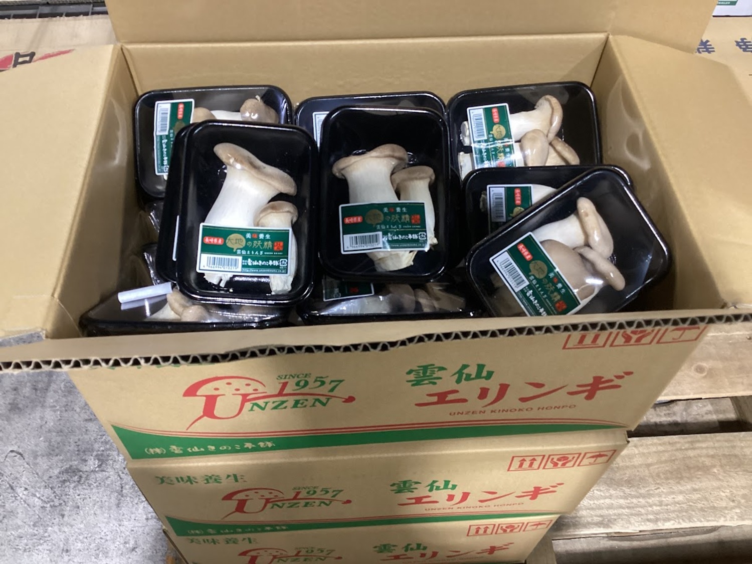 エリンギ １００ｇ / パック