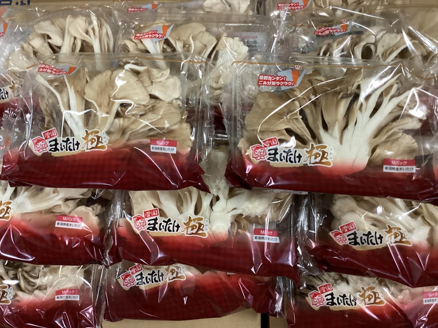 まいたけ / 100gパック