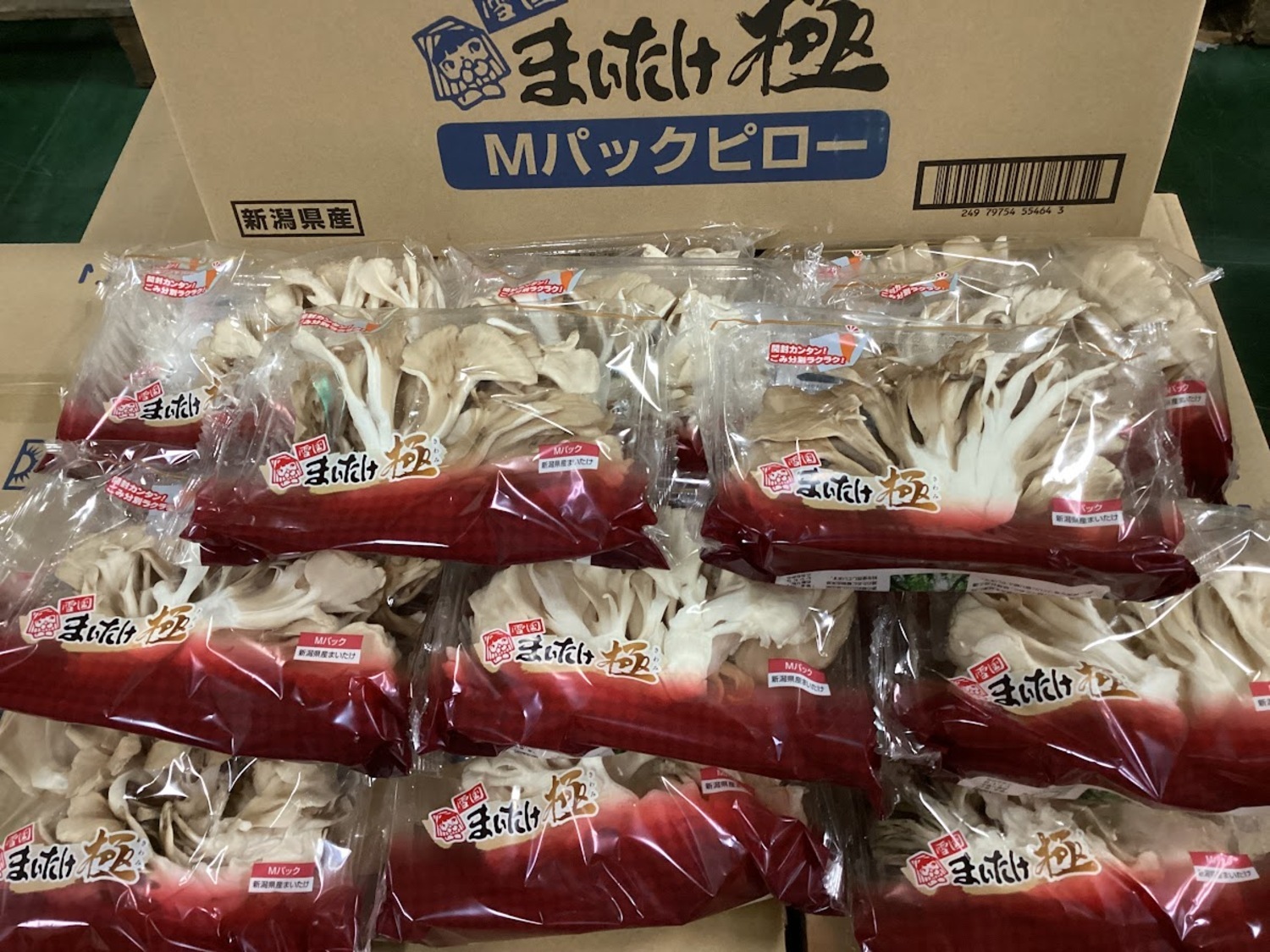 まいたけ / 100gパック