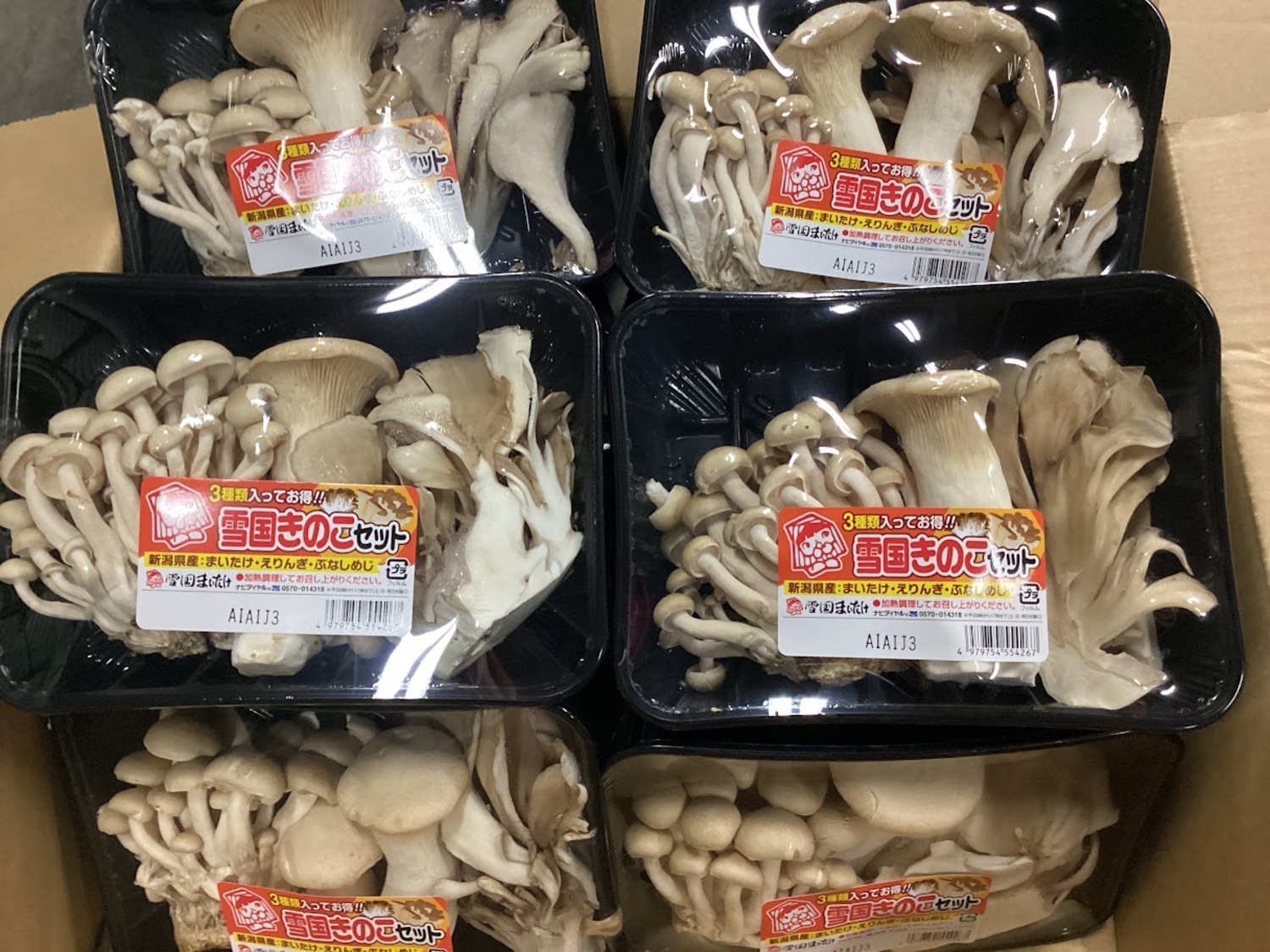 雪国きのこ３種セット １５０ｇ（ まいたけ、エリンギ、ぶなしめじ） / パック入り