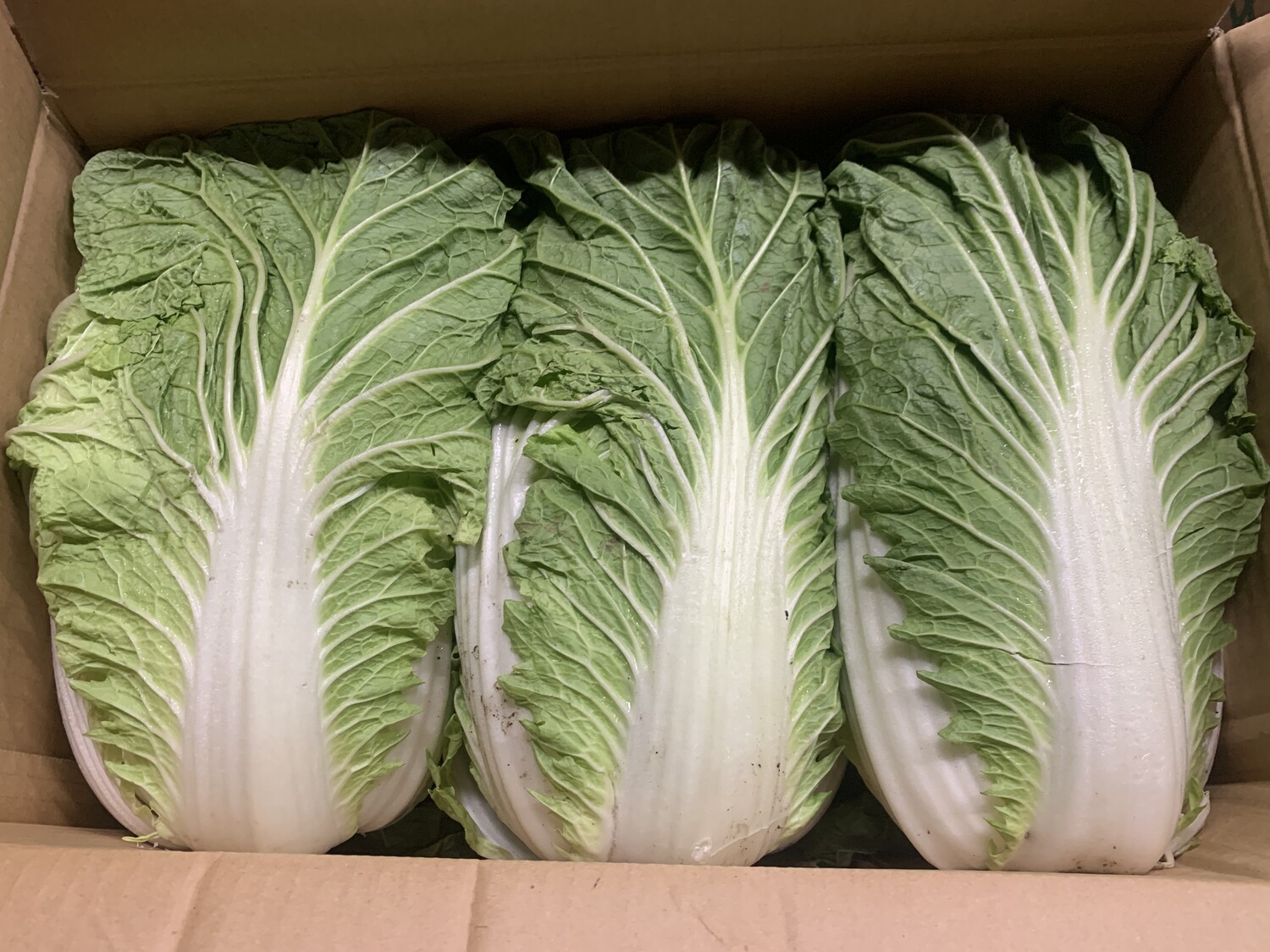 白菜 ４分の１カット 袋入り / L６玉サイズ