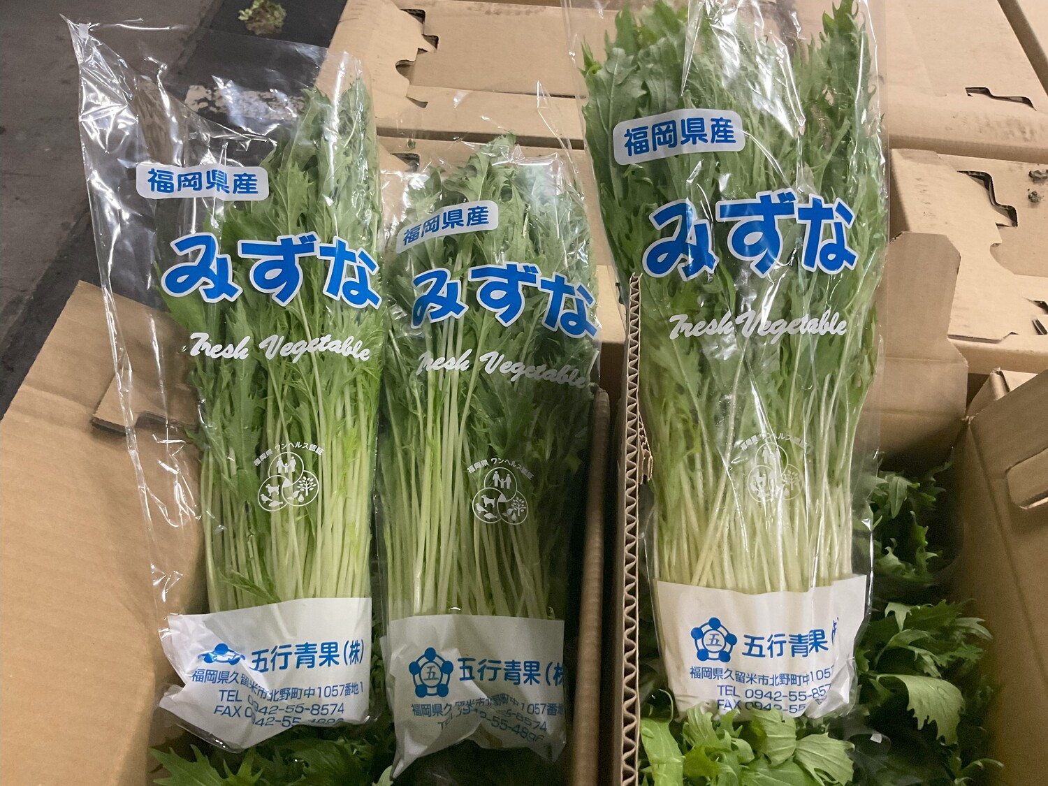 みず菜 ２００ｇ/袋入り