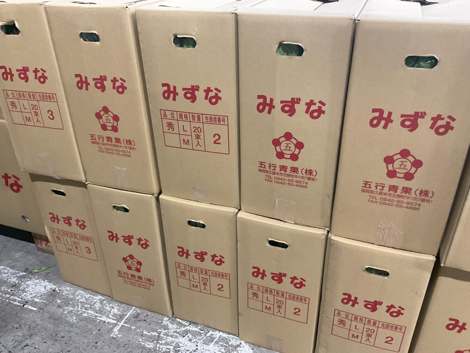 みず菜 ２００ｇ/袋入り