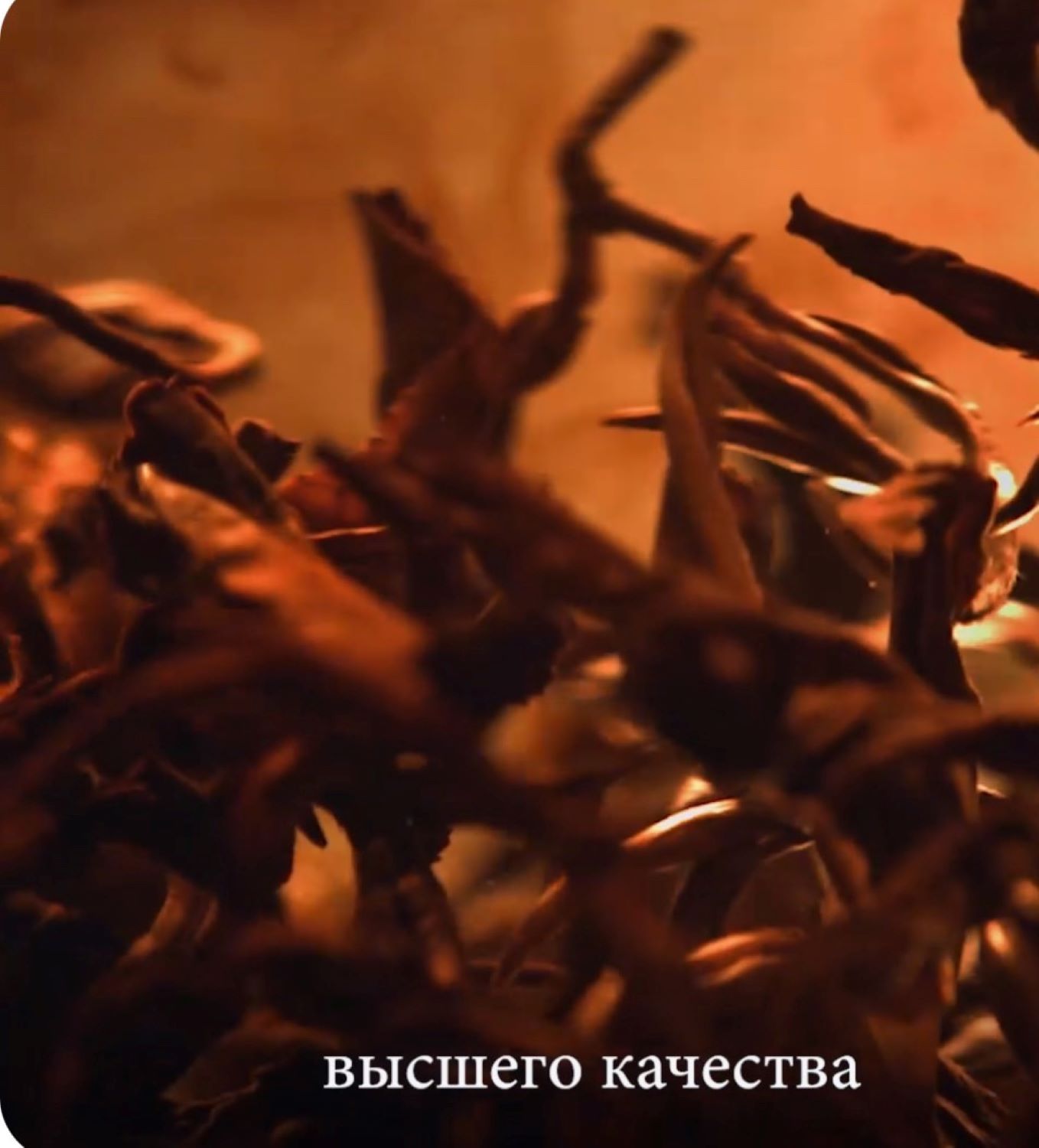 Merry christmas & Happy New Year リチャード紅茶（All The Best Wishes クリスマス装飾限定缶） / 紅茶２０ｇ入り