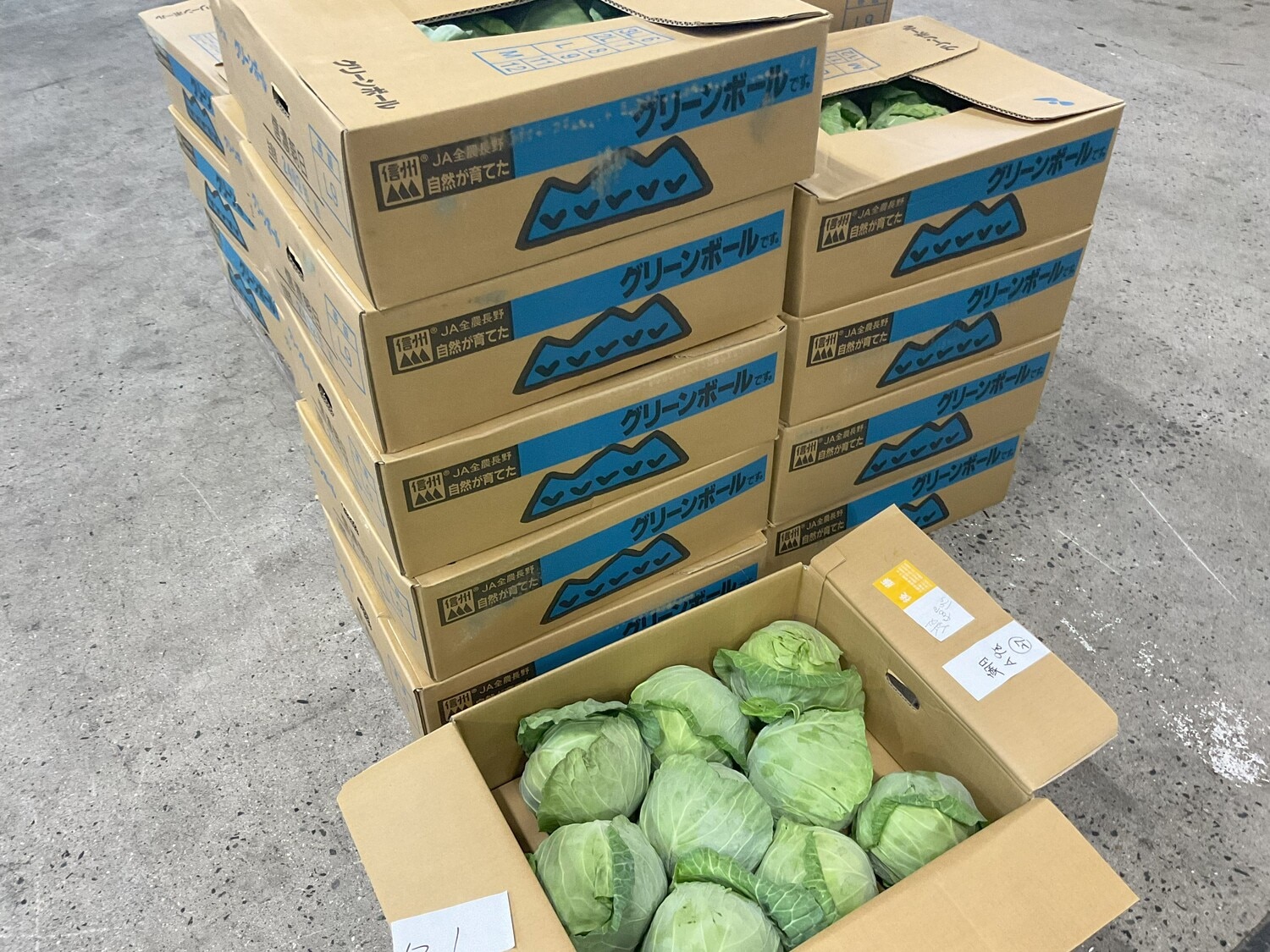 グリーンボール 1玉 / L8玉サイズ｜いちばdeマルシェe-ショッピング