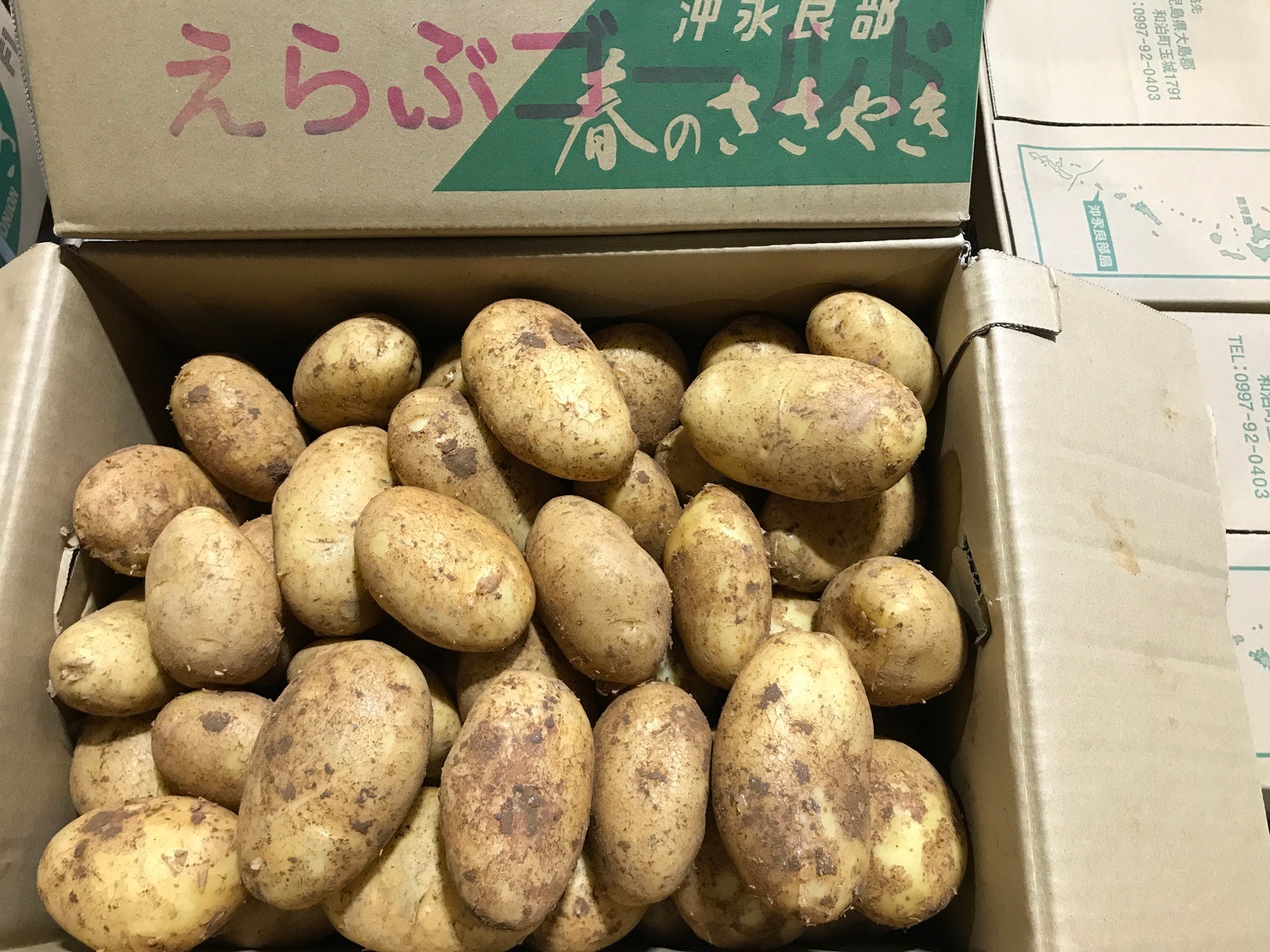 じゃがいも（ゴールド芋） たっぷり 約１ｋｇ袋入り / L・Mサイズ 