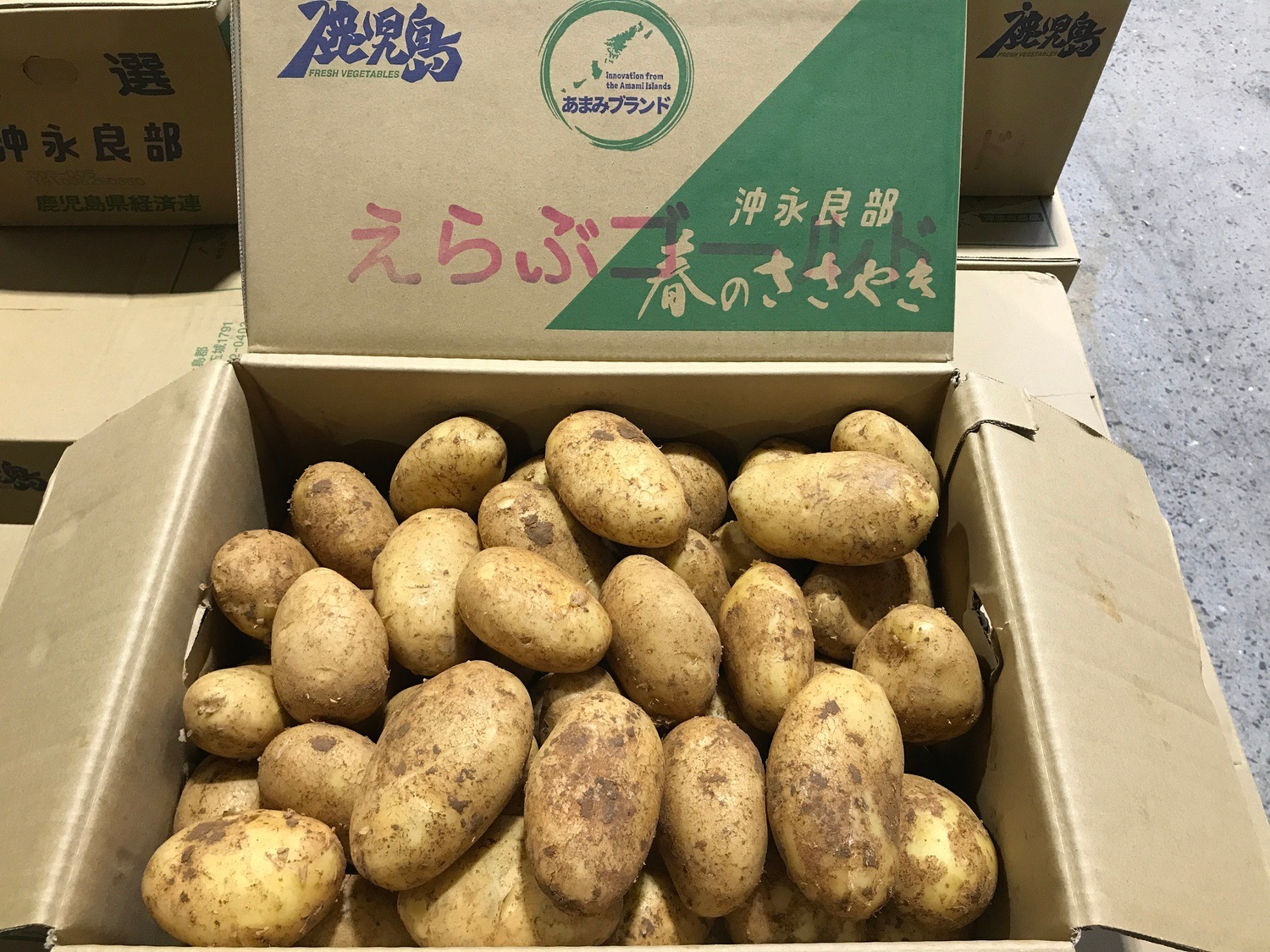 じゃがいも（ゴールド芋） たっぷり 約１ｋｇ袋入り / L・Mサイズ 