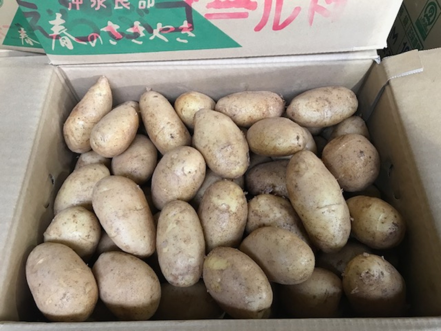 じゃがいも（ゴールド芋） たっぷり 約１ｋｇ袋入り / L・Mサイズ 