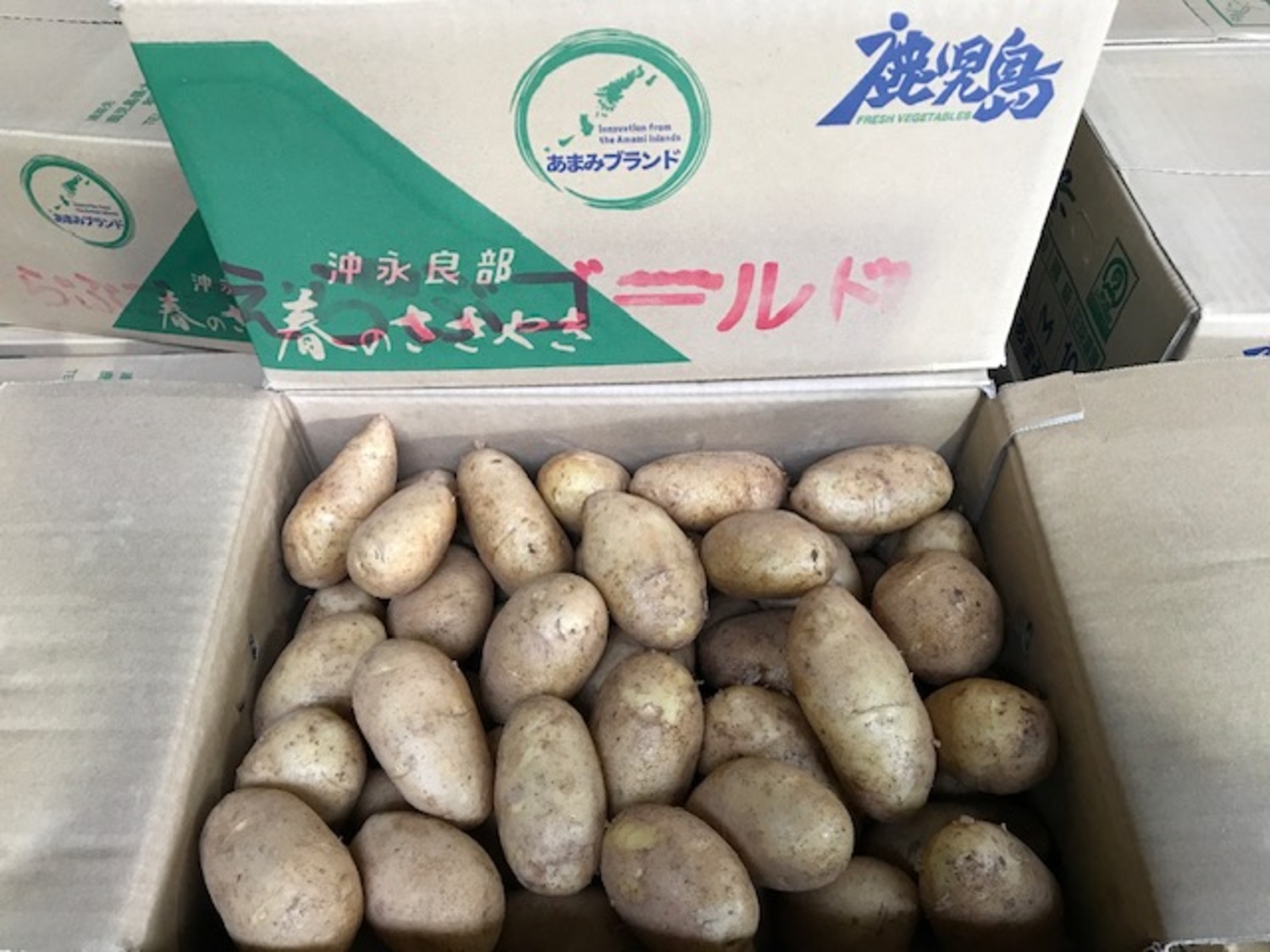 じゃがいも（ゴールド芋） たっぷり 約１ｋｇ袋入り / L・Mサイズ 