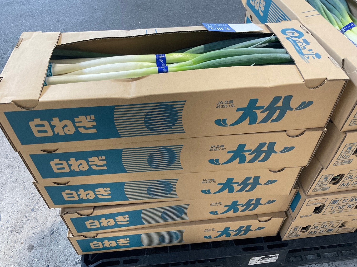 白ねぎ 3本束 / Lサイズ ３００ｇ