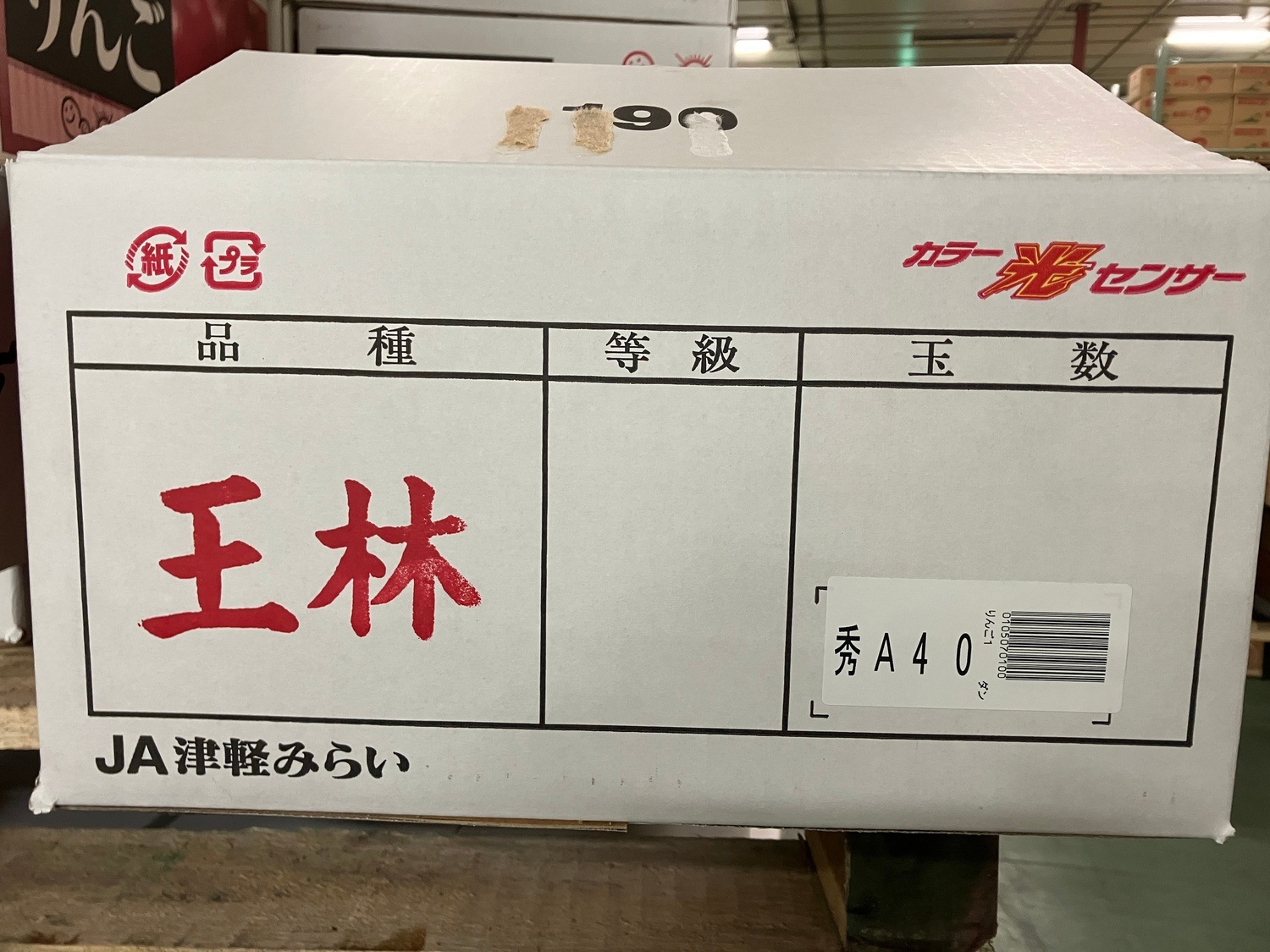 りんご（王林）２玉 袋入り / ４０玉サイズ