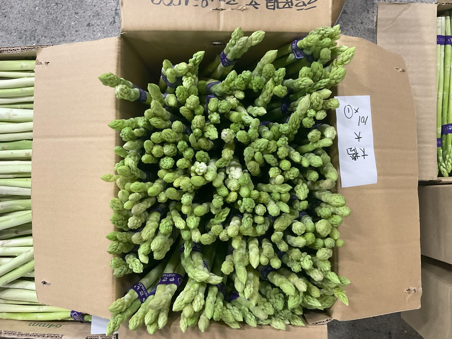 アスパラ １００g束 / L・Mサイズ