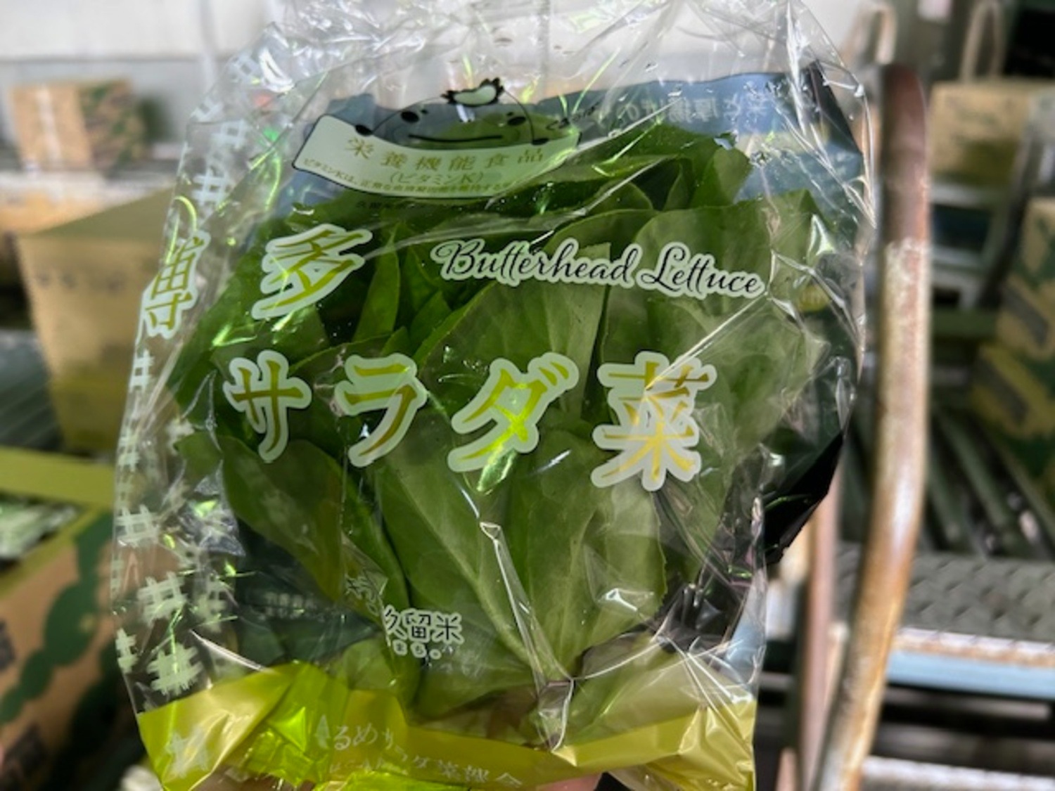 サラダ菜 約８０ｇ袋入り / L、Mサイズ