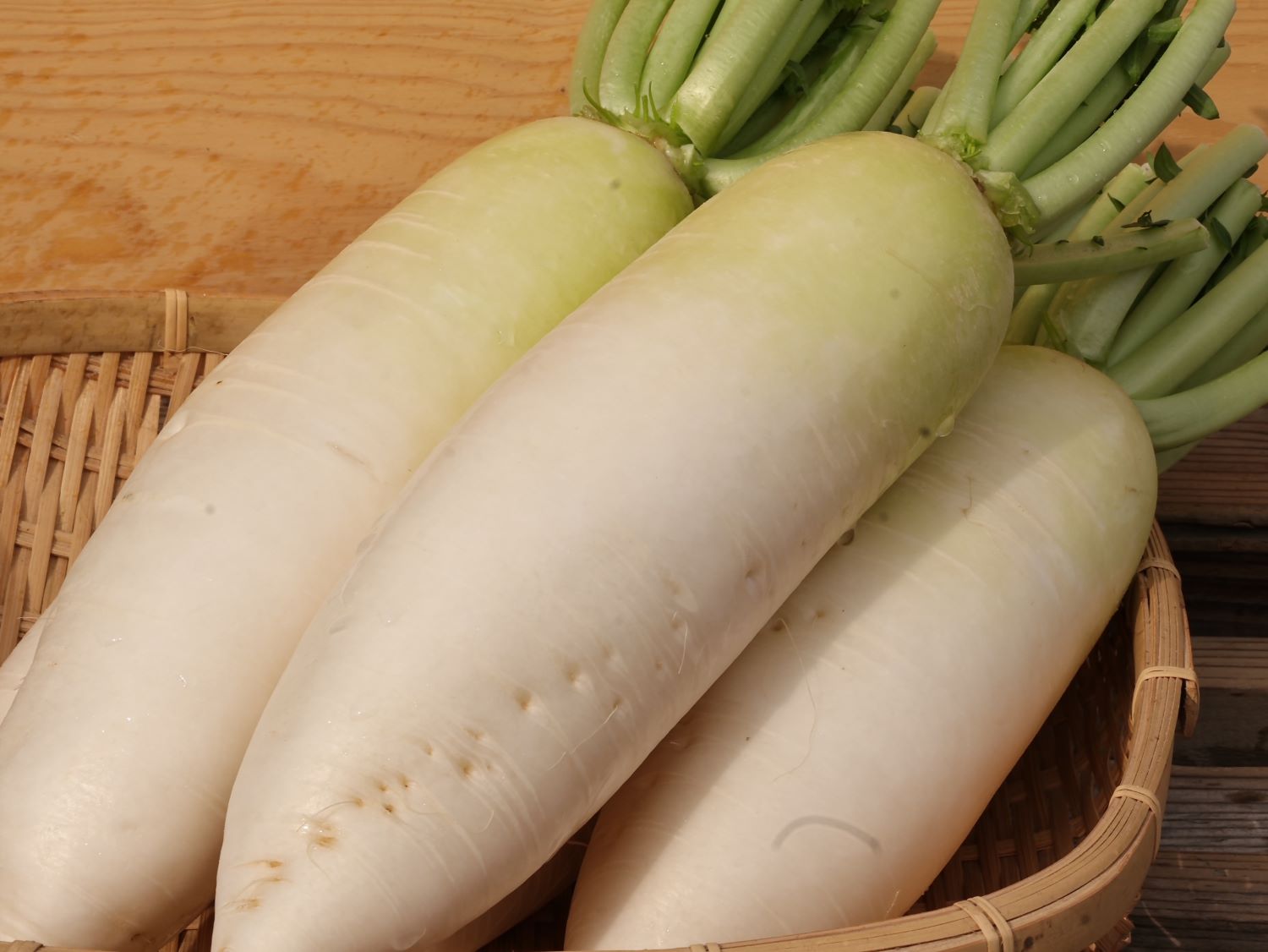 ボリューム満点の大根！　話題の美小姫（みこひめ）１本 / ４L、３Lサイズ