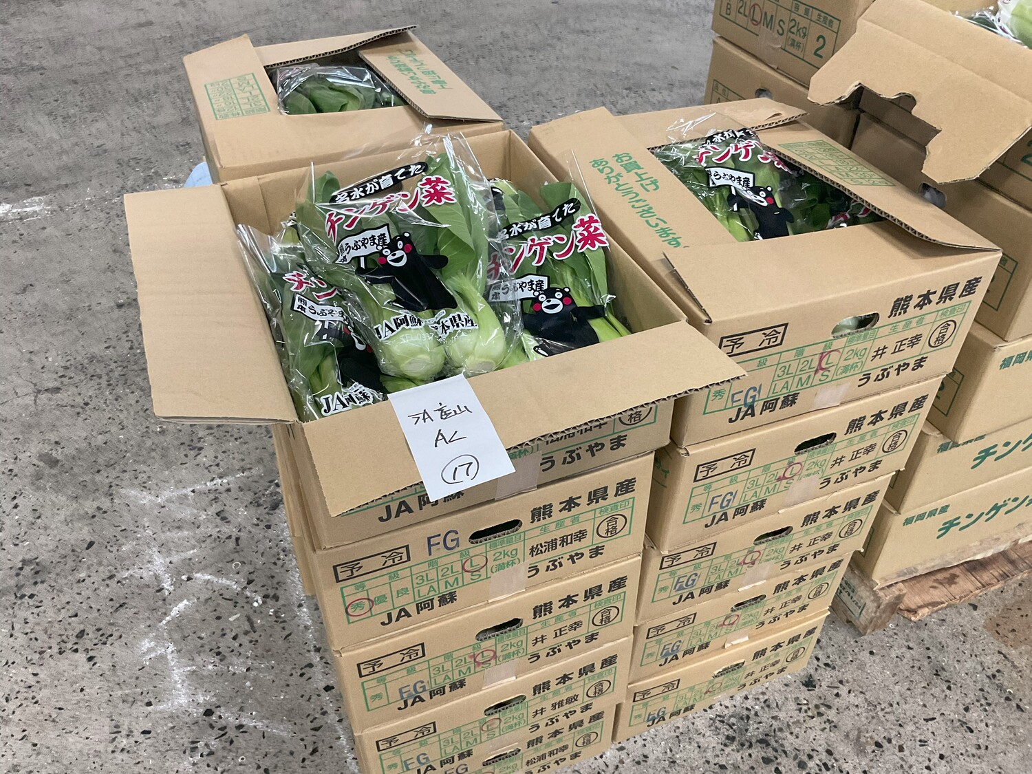 チンゲン菜 ２００ｇ / 袋入り