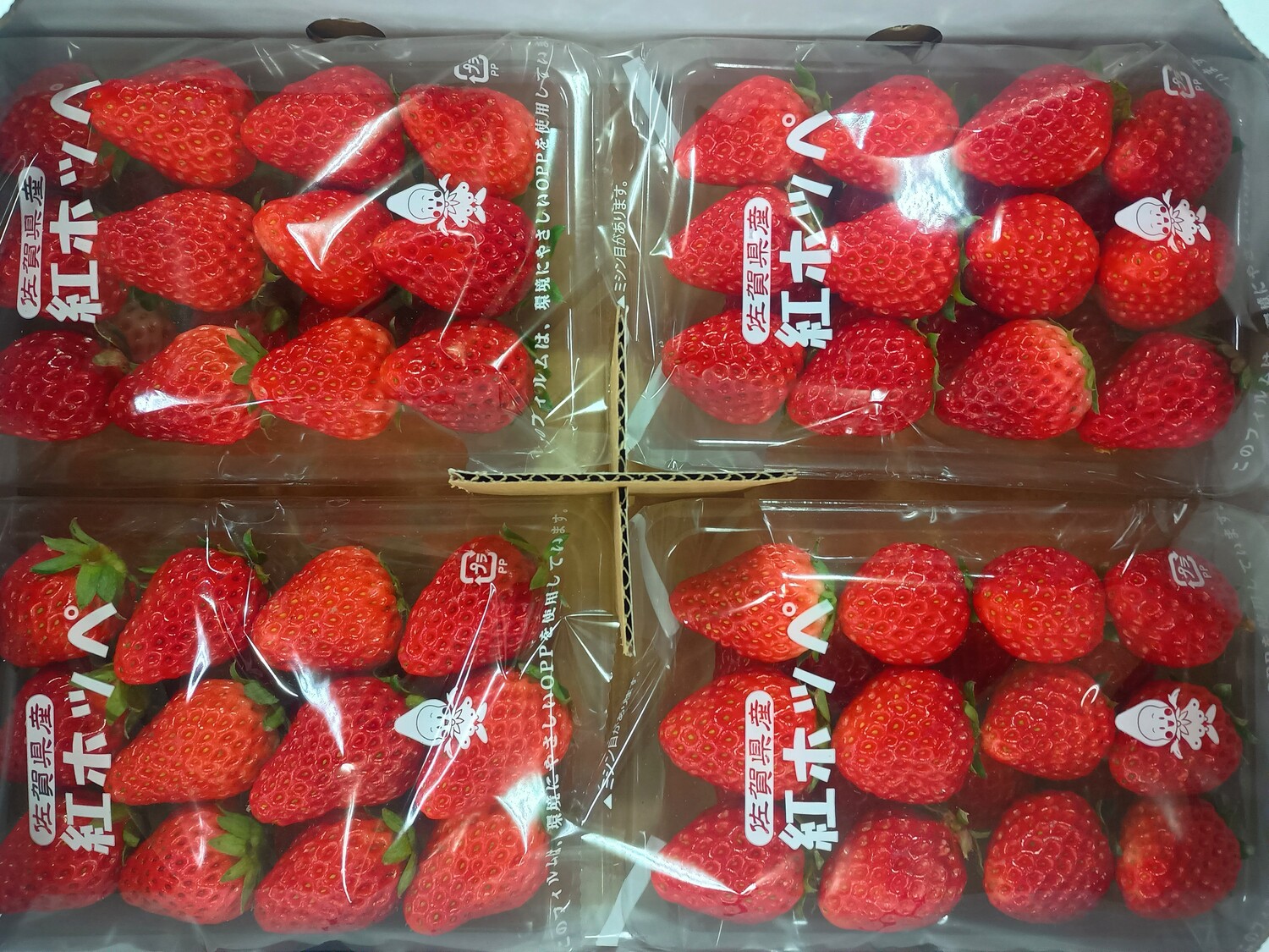 紅ほっぺ　レギュラーパック / L粒サイズ