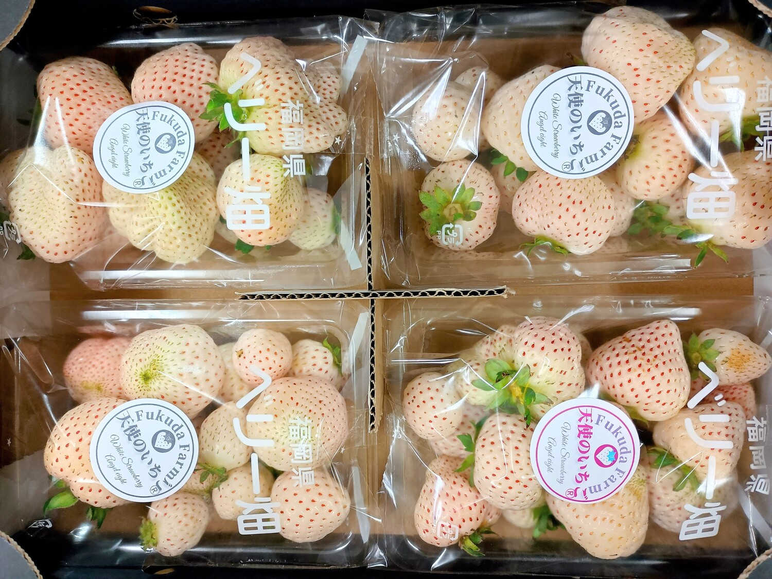 天使のいちご　レギュラーパック / L粒サイズ