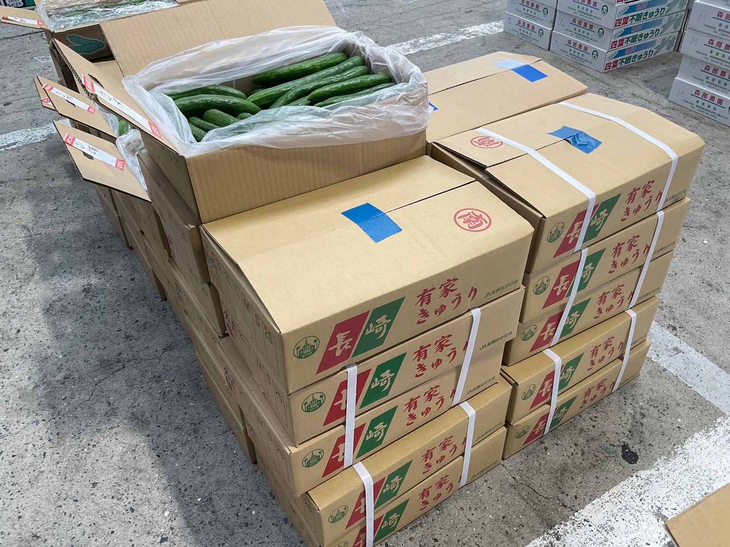 きゅうり ２本袋入り / L・Mサイズ