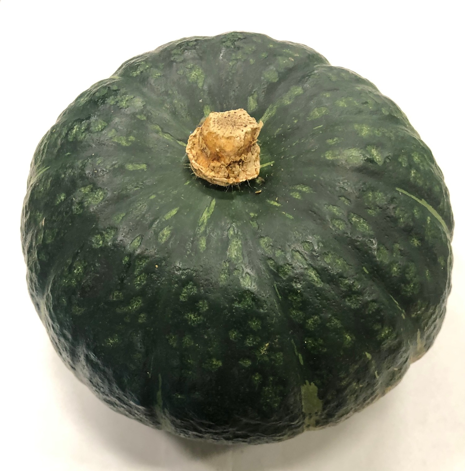 南瓜 　約２０００ｇ、たっぷり１玉