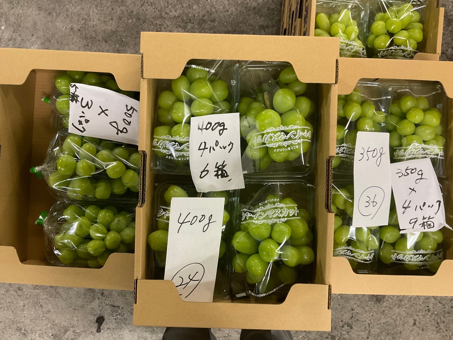 シャインマスカット　約３００ｇ /パック入り