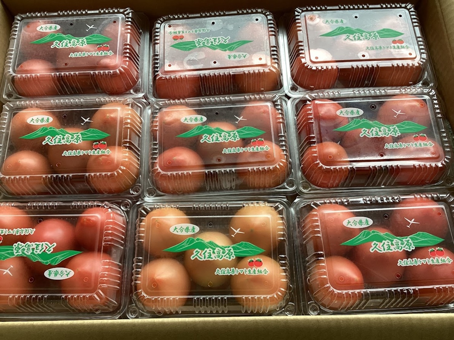 トマト 約５００ｇ（４～６玉入り）/ パック