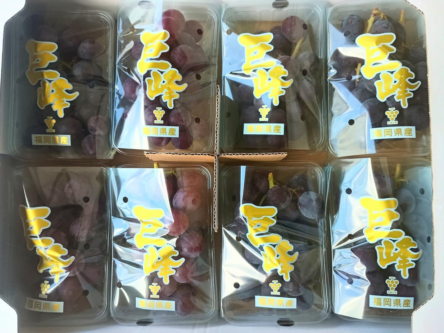 （種あり）巨峰　約３００ｇ / パック