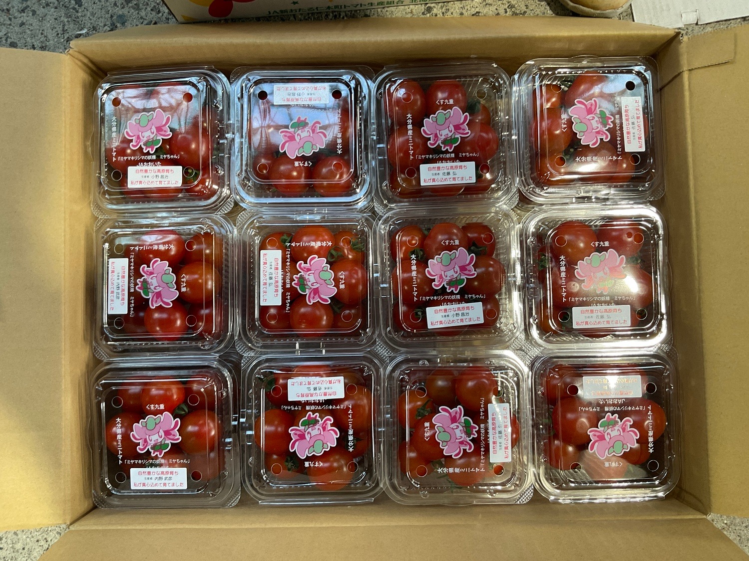 ミニトマト 200g / パック｜いちばdeマルシェe-ショッピング