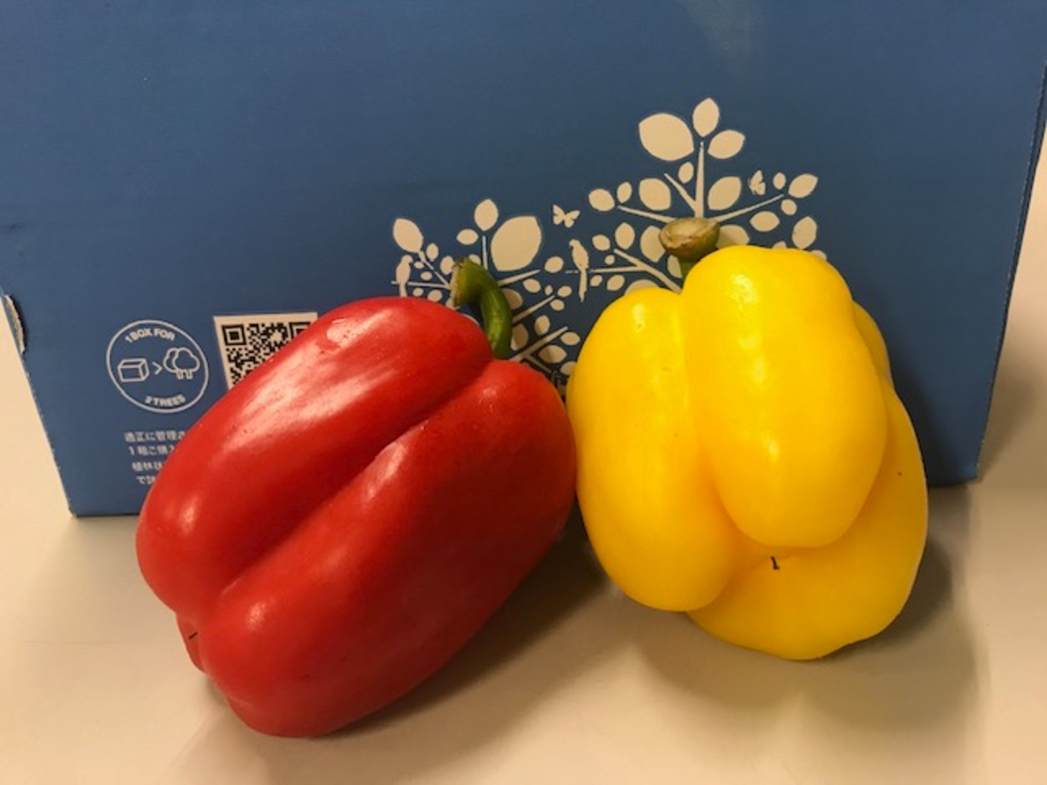 パプリカ 100g / 1玉｜いちばdeマルシェe-ショッピング